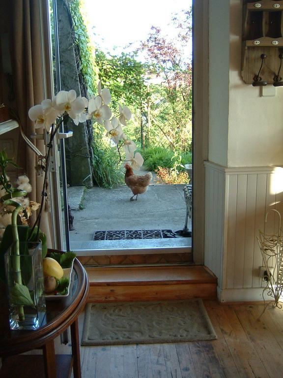 Villa Le Lac Cottage Au Bord Du Lac D'Annecy - Chambre Chez L'Habitant - Les Terrasses Du Lac Veyrier-du-Lac Exteriér fotografie